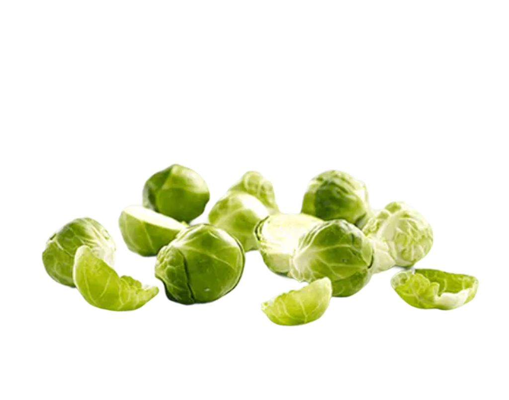 Brussel Sprout